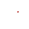 Premium