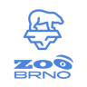 Zoo Brno - Medvěd lední