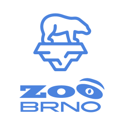 Zoo Brno - Medvěd lední